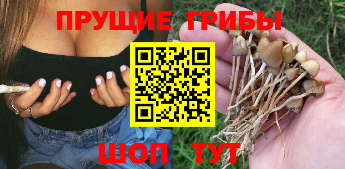 Когалым  Псилоцибиновые грибы прущие грибы  Галлюциногенные грибы Psilocybe  Вход с VPN 